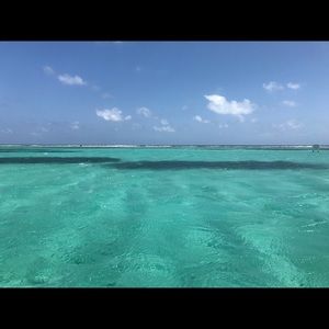 Meet your Posher, Christi